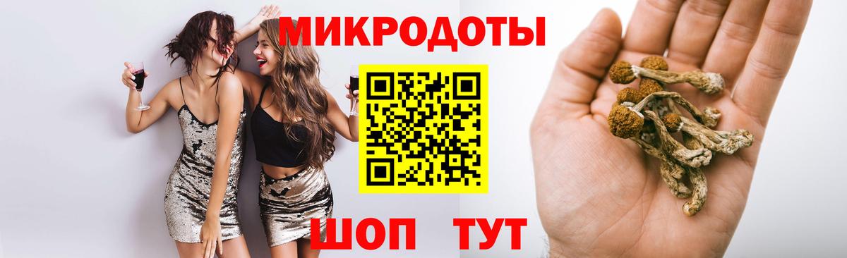 где купить наркотик  Вход с VPN  Нововоронеж  Псилоцибиновые грибы мухоморы 